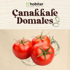 Hobitar Çanakkale Tarla Domates Tohumu