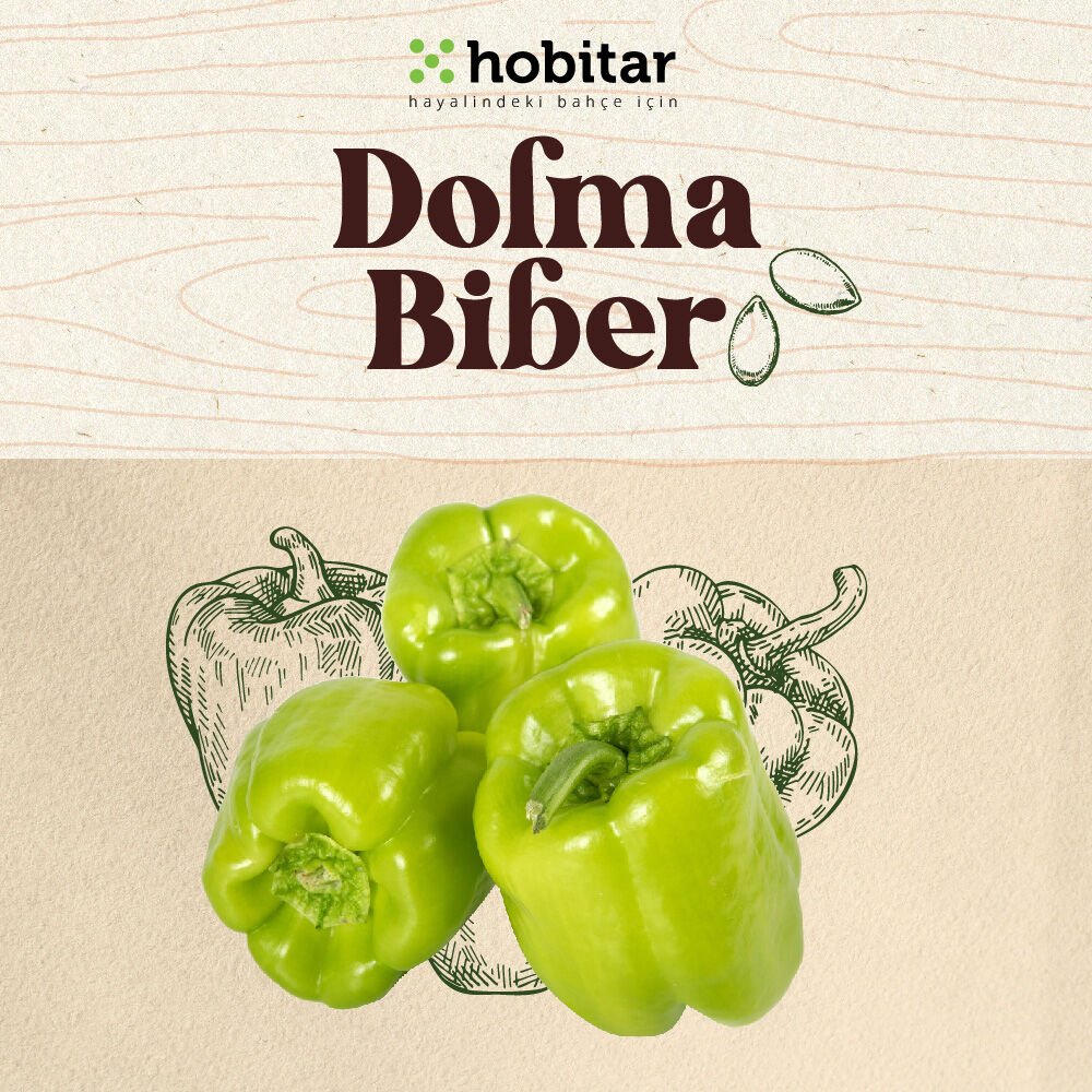 Hobitar Dolma Biber Tohumu