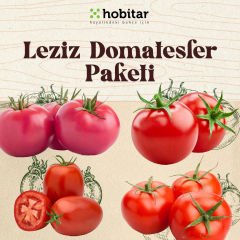 Hobitar Leziz Domatesler Sebze Tohumu Paketi - 4 Çeşit Domates Tohumu